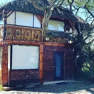 Casa Del árbol , Quito Ecuador
